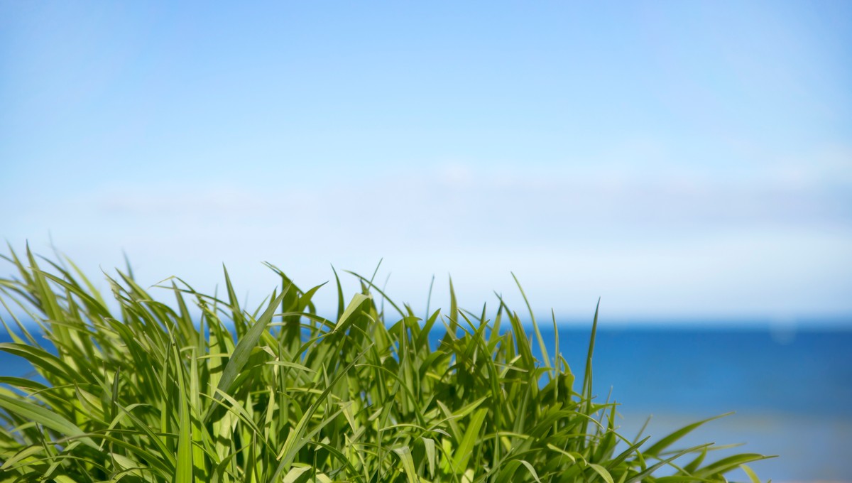 Синоптик Ильин предрёк ощутимое похолодание Подмосковью