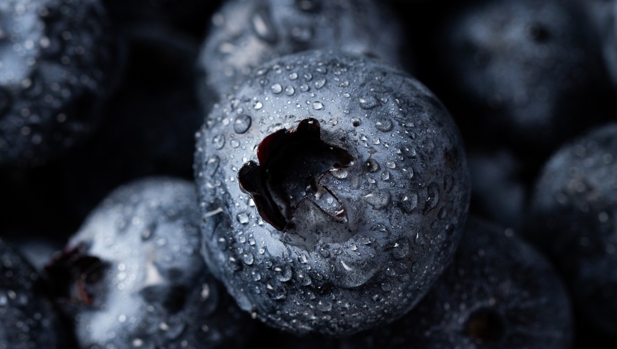 Жительница Подмосковья закрыла кредит голубикой