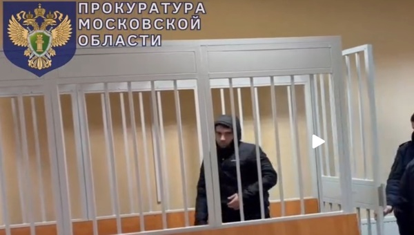 СК: сосед убил женщину и маленького ребёнка в Подмосковье