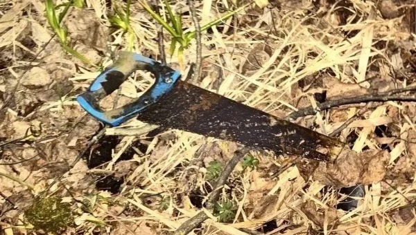 В Подмосковье найдены части тела пропавшего мужчины