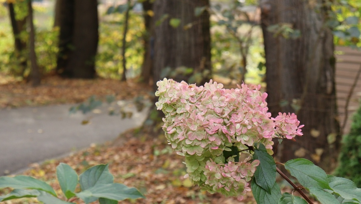 Дождь 17 сентября — верная народная примета на всю осень