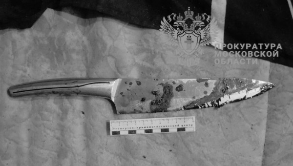 Работяга убил двух друзей в Подмосковье и сбежал в Чувашию