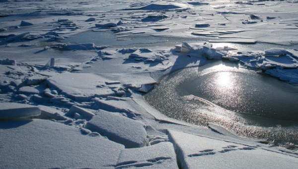 Ока у Серпухова рекордно поднялась и вскрылась