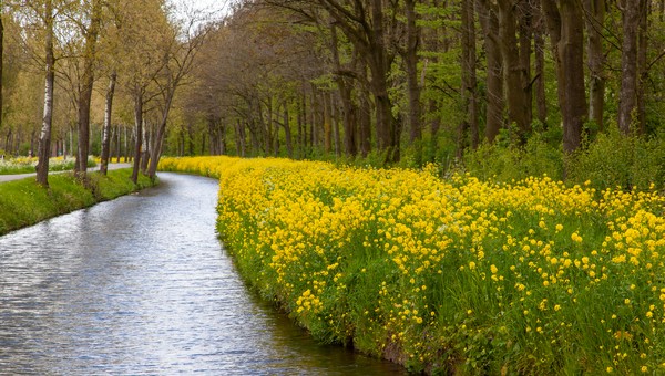 Когда в Подмосковье температура воздуха перейдёт в стабильный «плюс»