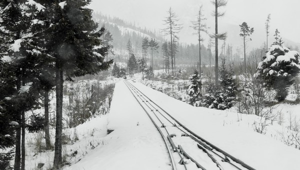 Расписание электричек в Подмосковье может измениться из-за снегопада