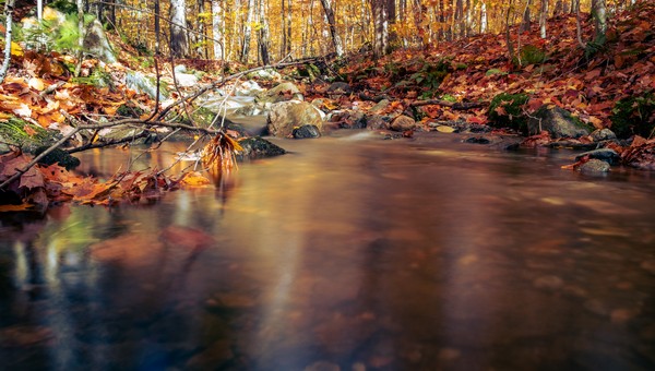 Древняя примета 8 ноября расскажет, ждать ли морозов в ноябре