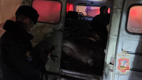 Жители Серпухова пытались вывезти из леса труп