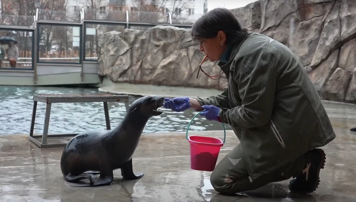Новое имя зазвучало в Московском зоопарке после тревожного ожидания