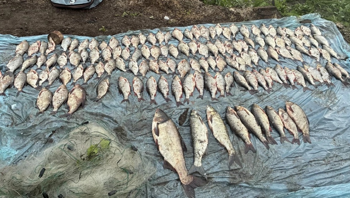 Орудовавших в Серпухове браконьеров поймали на Оке с поличным