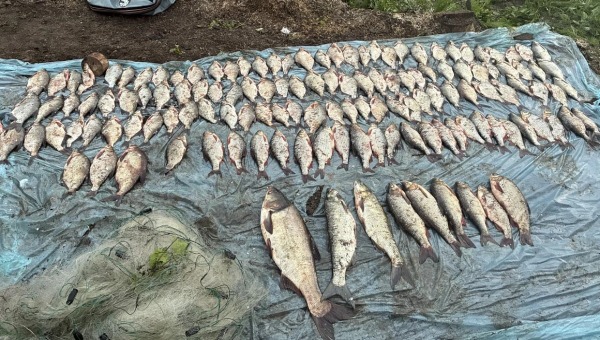 Орудовавших в Серпухове браконьеров поймали на Оке с поличным