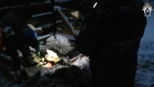 В Подмосковье нашли тела жертв «ногинского маньяка»