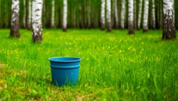 Грибы вновь повалили в этих уголках Подмосковья после снега