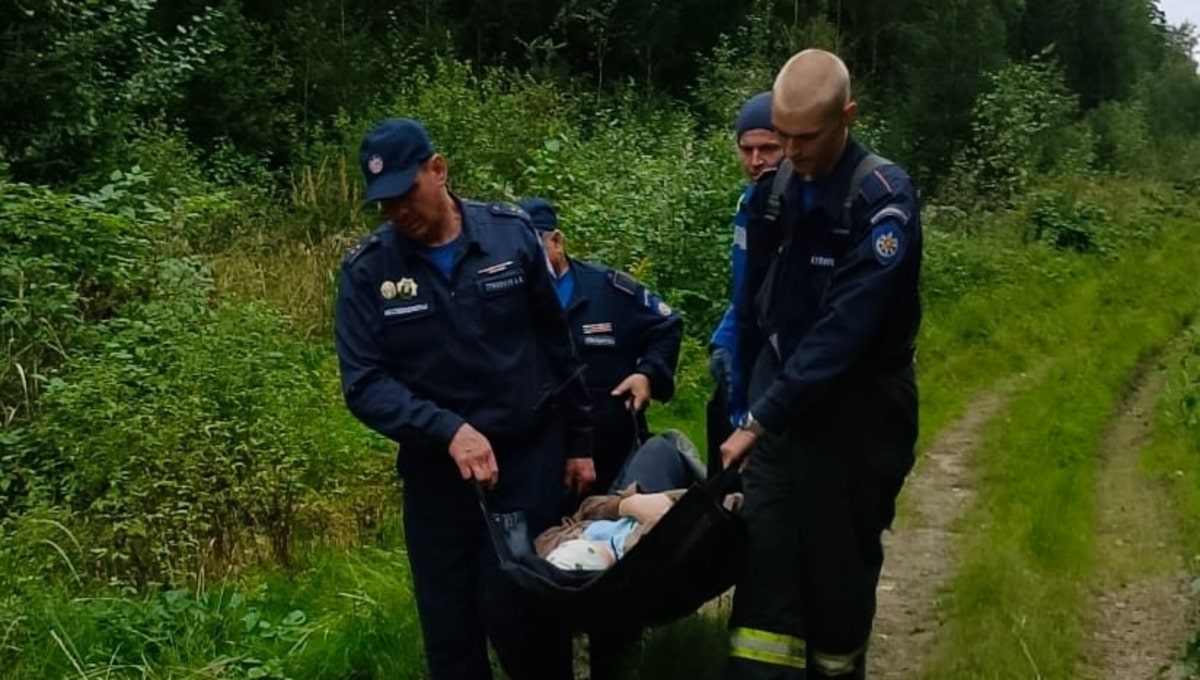 Жительница Подмосковья пошла за грибами и нашла женщину в ужасном состоянии