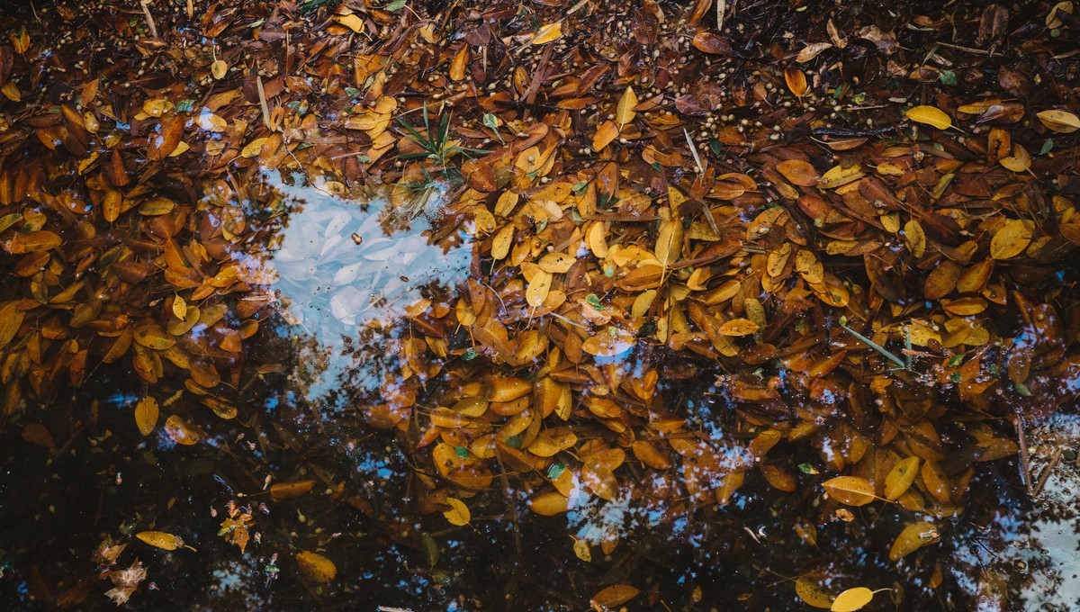 Когда в Подмосковье закончатся дожди