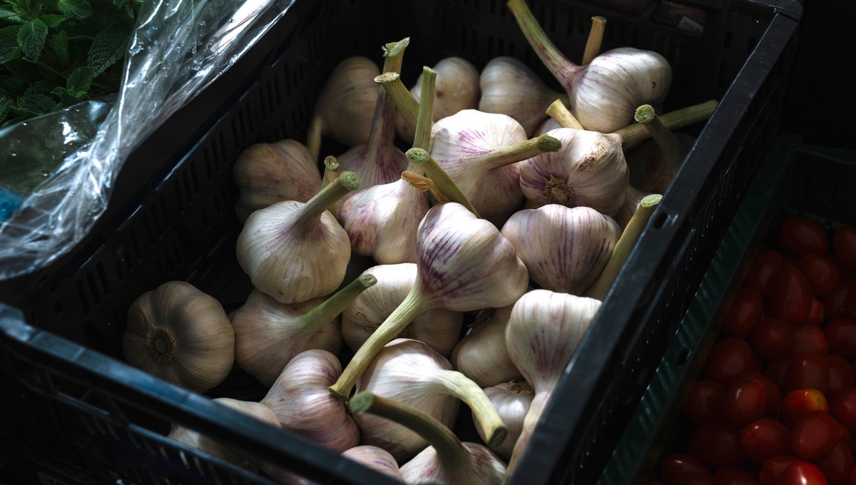 Урожай озимого чеснока будет фантастическим - киньте эту простейшую подкормку в лунку