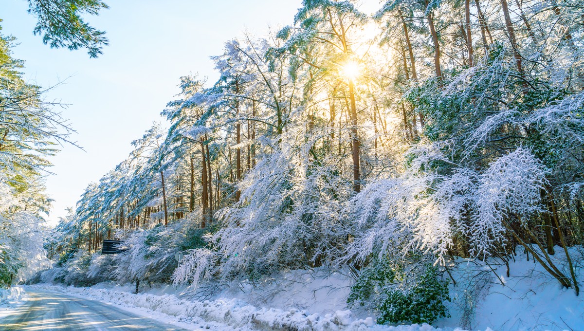 Завалит ли снегом Подмосковье предстоящей зимой 2025/2026?