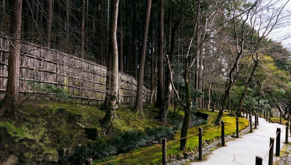 Одна из любимиц Московского зоопарка скончалась сегодня утром