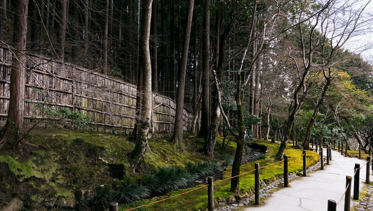 Одна из любимиц Московского зоопарка скончалась сегодня утром