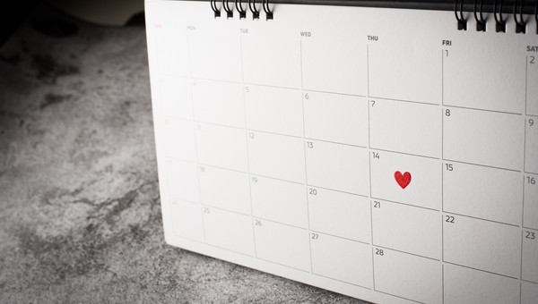 В Подмосковье появился новый праздник — он будет отмечаться 11 октября