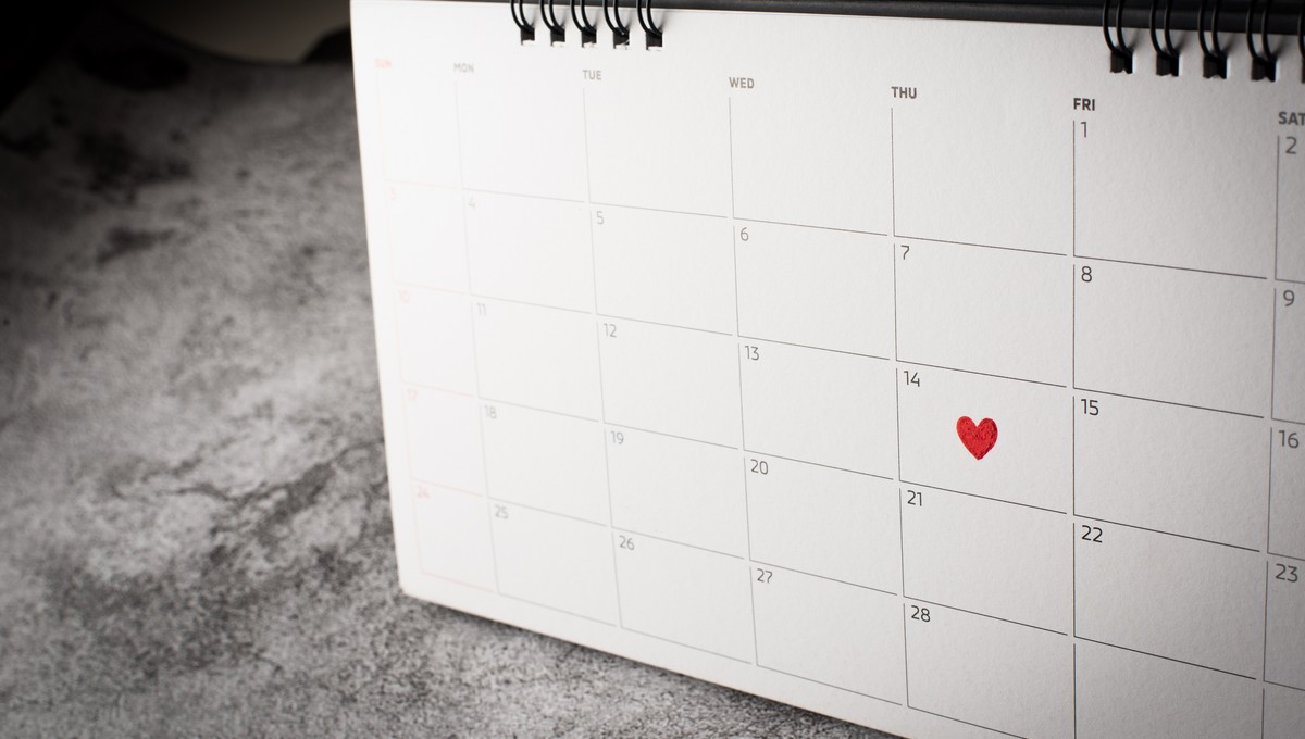 В Подмосковье появился новый праздник — он будет отмечаться 11 октября