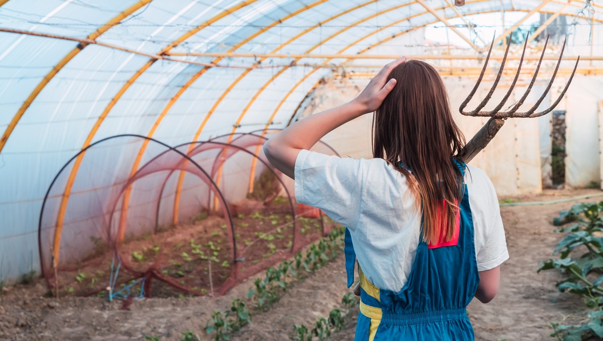 Эти 3 добавки реанимируют тепличную землю в два счёта — их нужно вносить по осени