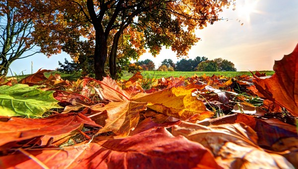 Назван самый холодный и самый тёплый день в Подмосковье на этой неделе
