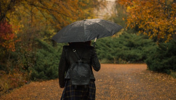 Дожди разной интенсивности на ежедневной основе будут идти в Подмосковье