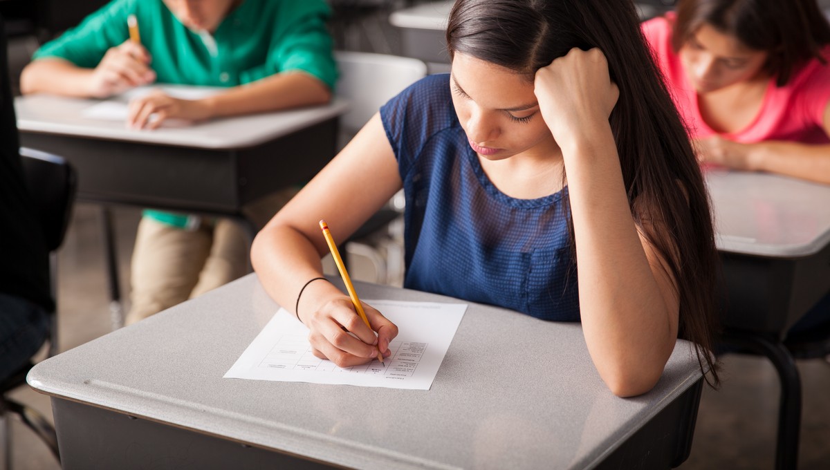 Сдать ЕГЭ в 2026 году по ряду предметов станет сложнее