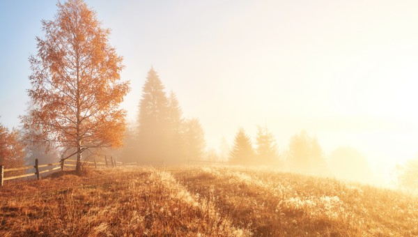 Подмосковье ждёт ещё одна волна тепла в конце октября