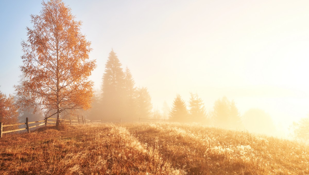 Подмосковье ждёт ещё одна волна тепла в конце октября