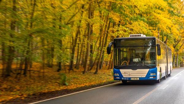 Как будут ходить автобусы и электрички в Подмосковье на майских праздниках