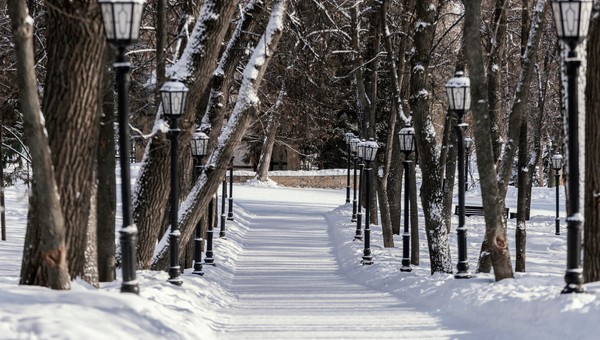 Где в Подмосковье выпало больше всего снега 