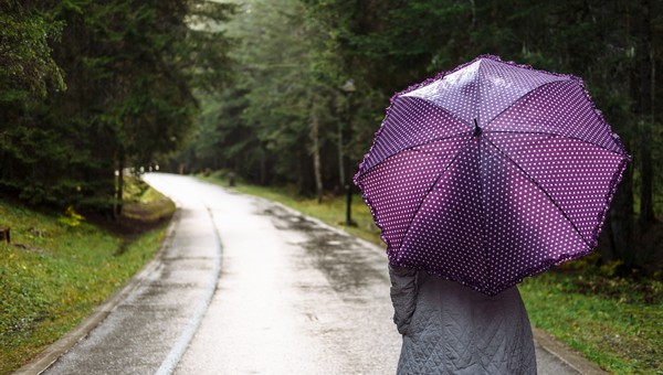 Дожди накроют столичный регион 16 апреля