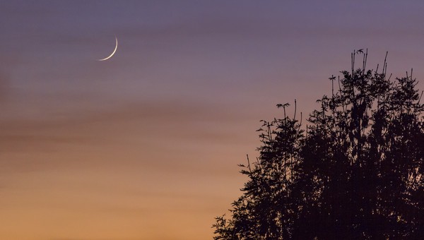 Эти 4 знака ждут мощные процессы после новолуния, 17 апреля