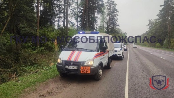 Жители Подмосковья откопали на своём участке страшный артефакт