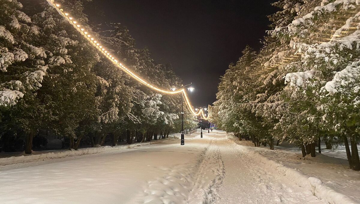 Сколько снега насыпало в Подмосковье и где сугробы уже под 20 сантиметров