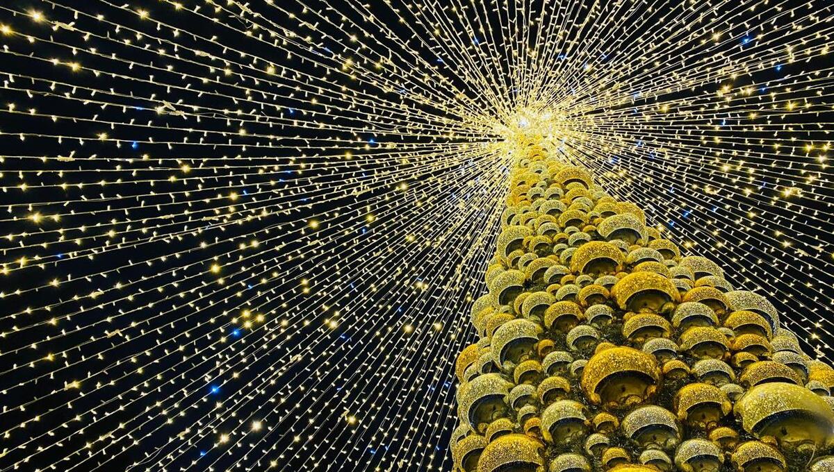 Парки Подмосковья засияют новогодними огнями к этому дню