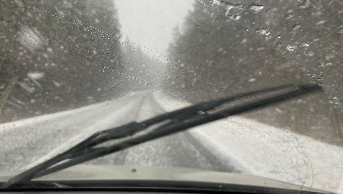 «Весна споткнётся» — синоптики сделали хмурый прогноз