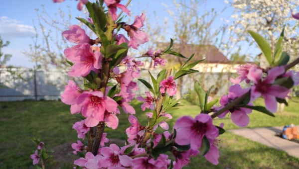 Один день идеальной погоды наступит на ближайшей неделе