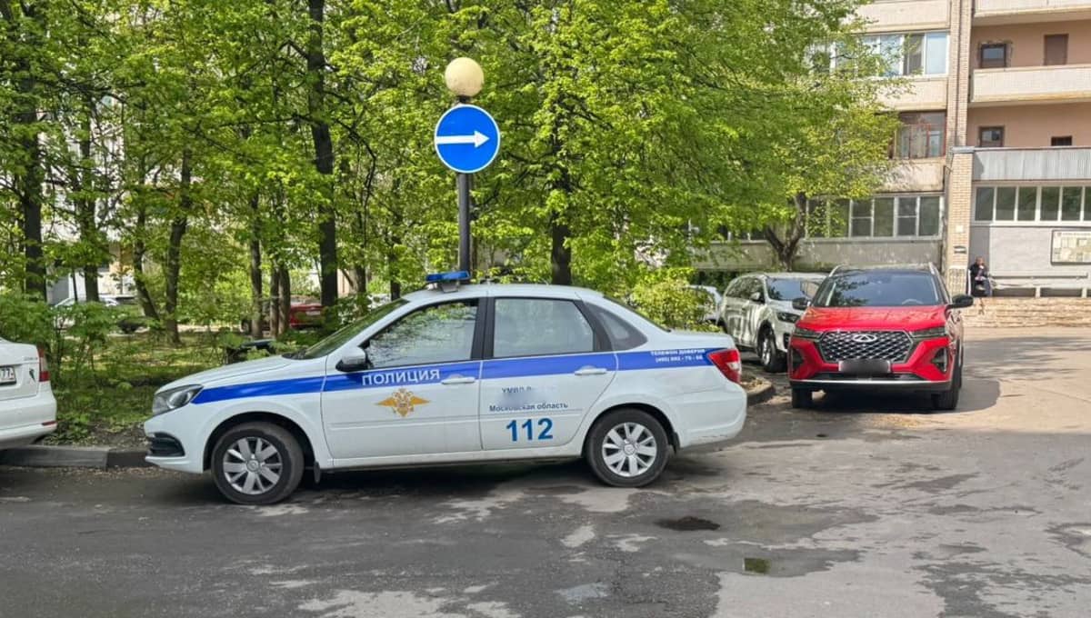 Молодой сосед нечаянно убил пенсионера в Подмосковье