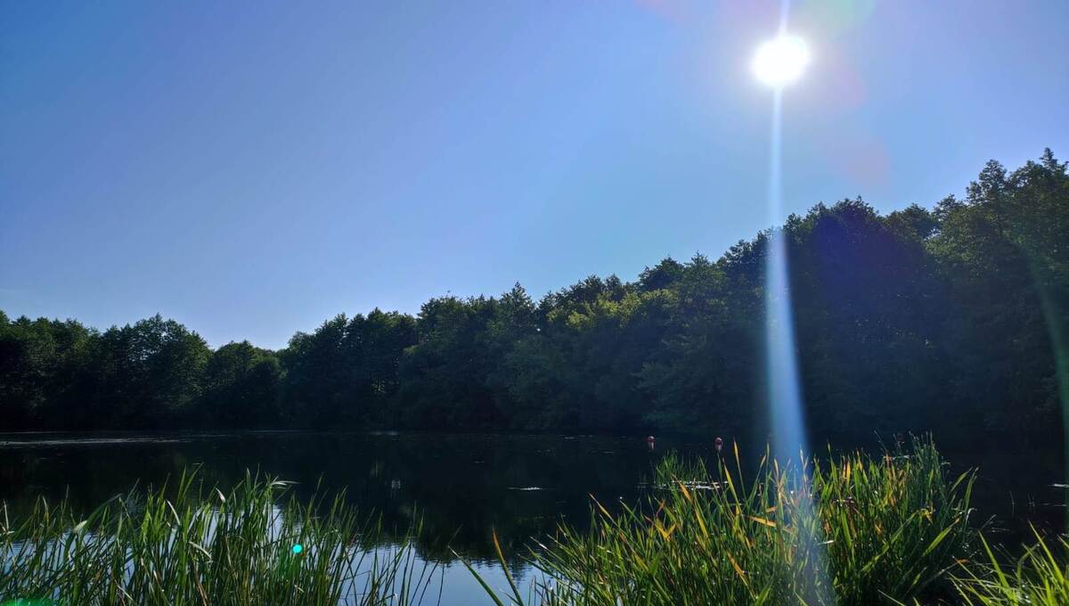 Эта примета 29 августа обещает долгую сухую осень