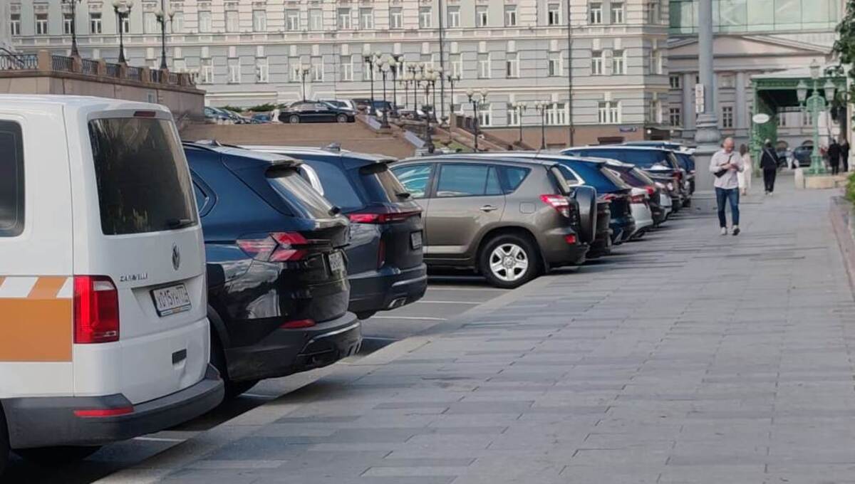 На машины этих цветов чаще всего гадят птицы