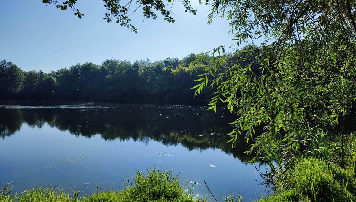 Какие пруды и озёра в Подмосковье получат новую жизнь в 2026 году