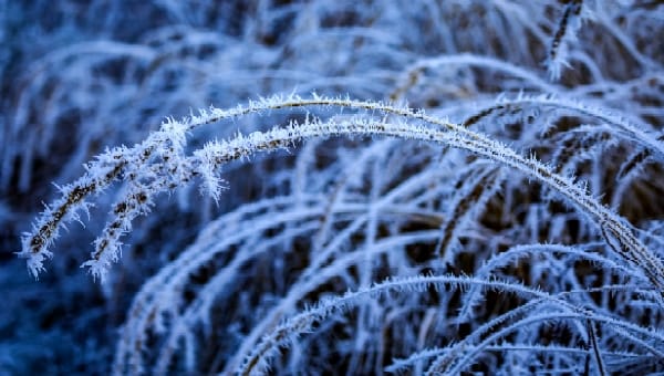 Гидрометцент: пик морозов в Подмосковье придётся на этот день