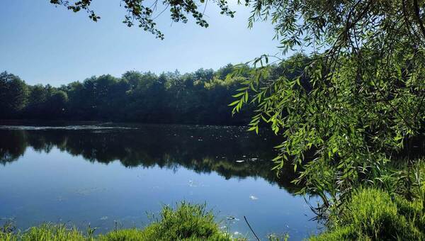 Какие пруды и озёра в Подмосковье получат новую жизнь в 2026 году