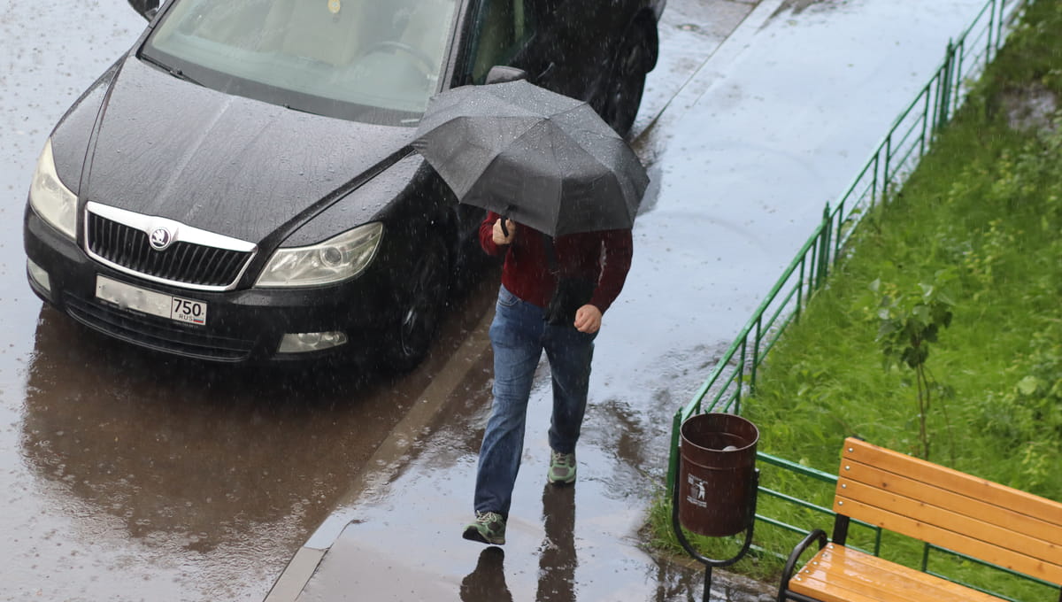 Гидрометцентр: в Подмосковье начинается сезон дождей