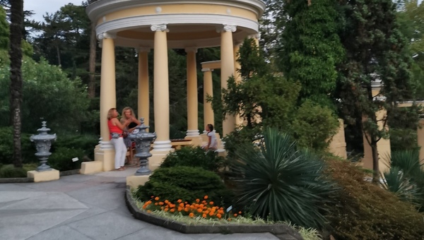 В Сочи погибла одна из живых достопримечательностей