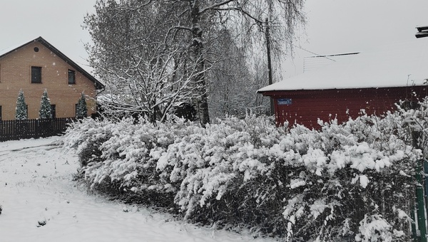 Синоптик Леус: до 6 сантиметров снега выпадет в Москве и Подмосковье в эти дни