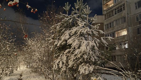 Снегопады с этого дня обещали жителям Москвы и Подмосковья