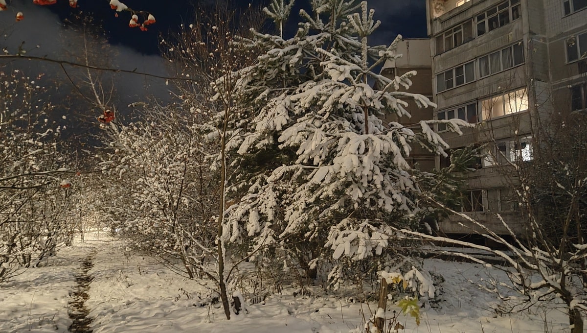 Когда настоящая зима окончательно придёт в Подмосковье